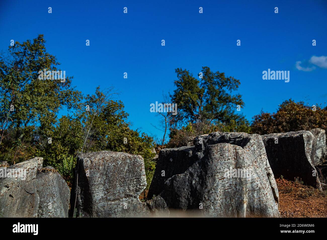 Rounded limestone rock ledges with trees in the background Stock Photo