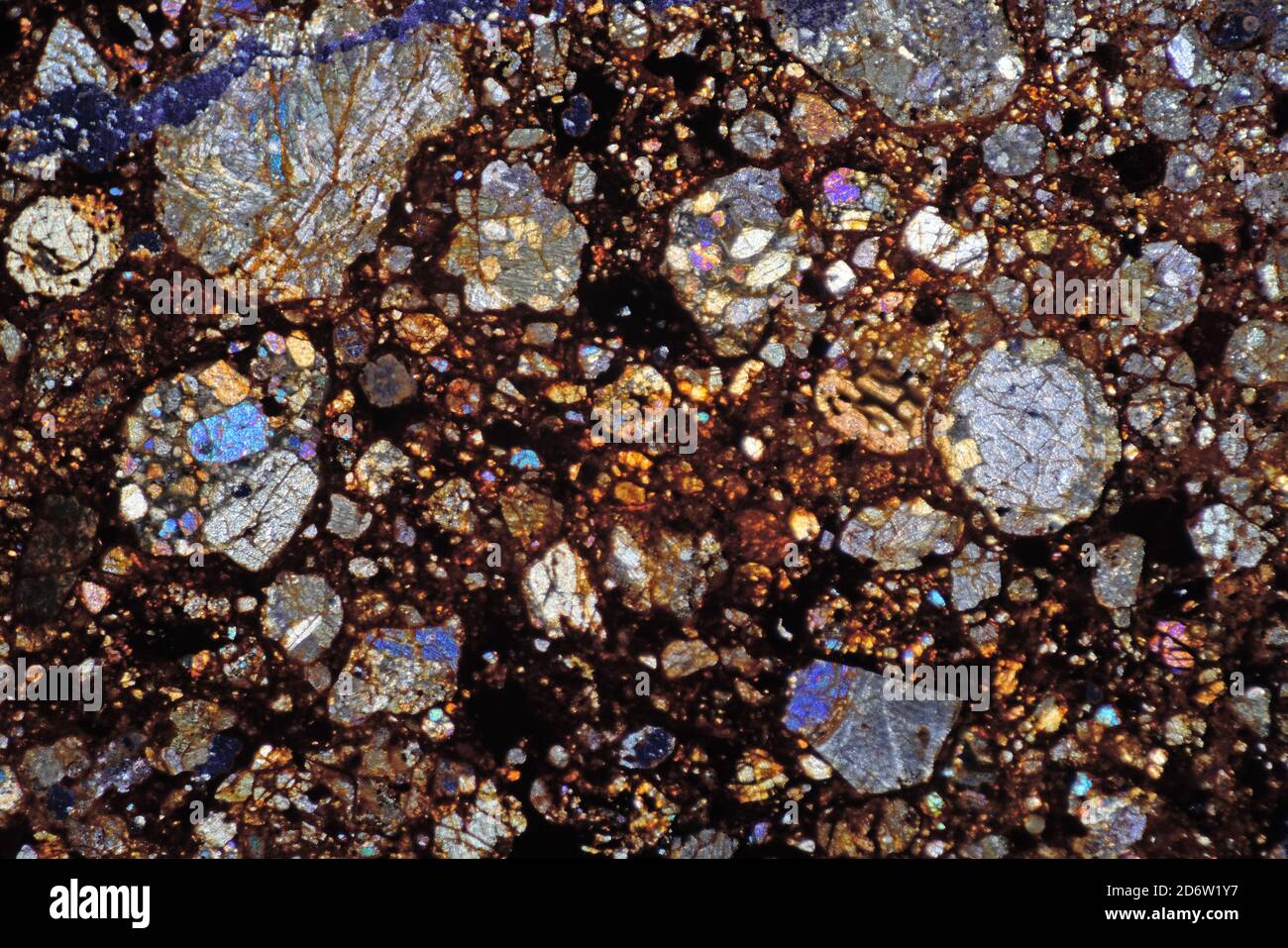 NWA meteorite slide section, polarized photomicrograph, chondrule rich, Sahara desert, Morocco Stock Photo