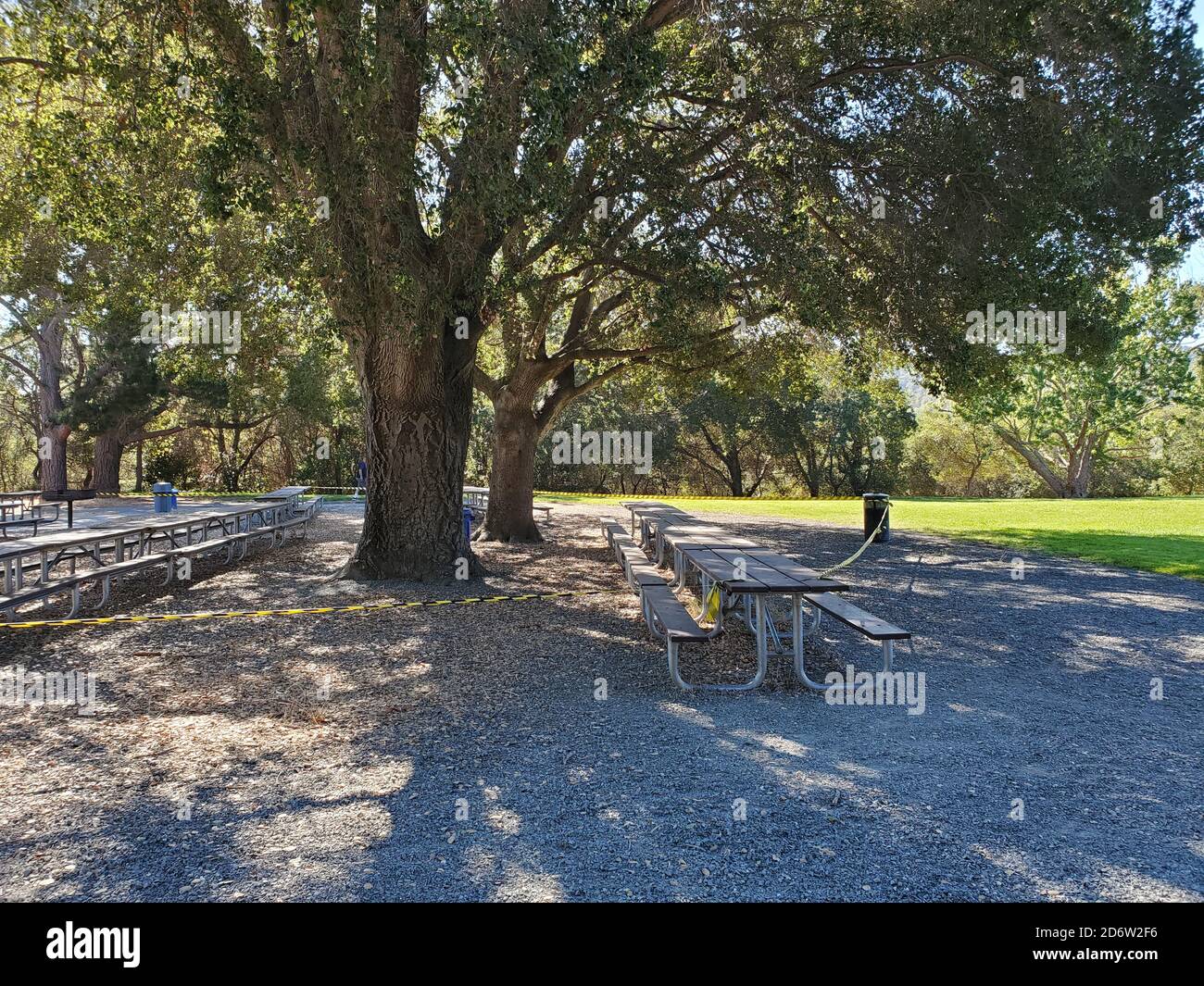 Wide angle of picnic areas under tree at Lafayette Reservoir, Lafayette