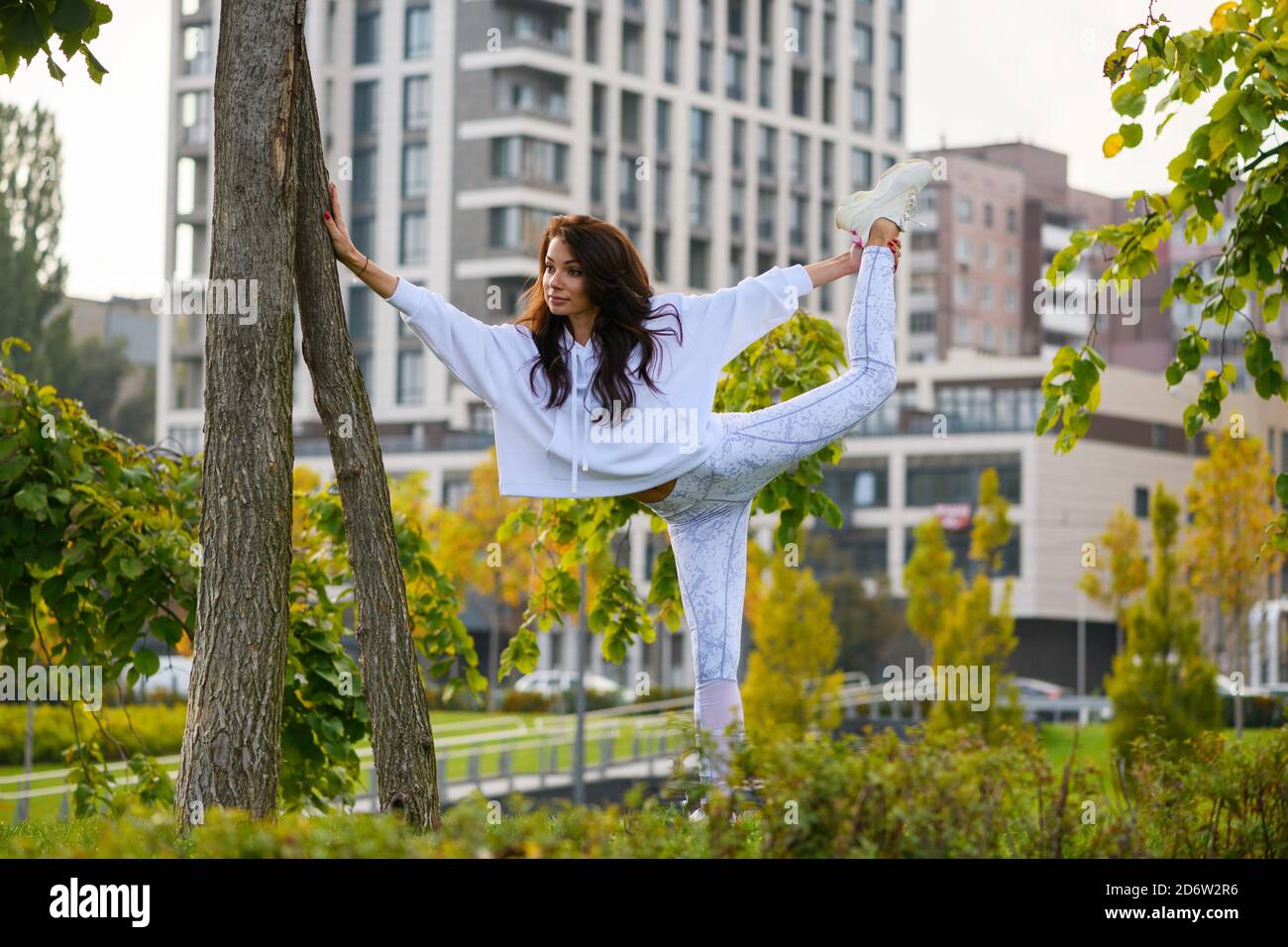 tree trunk legs workout