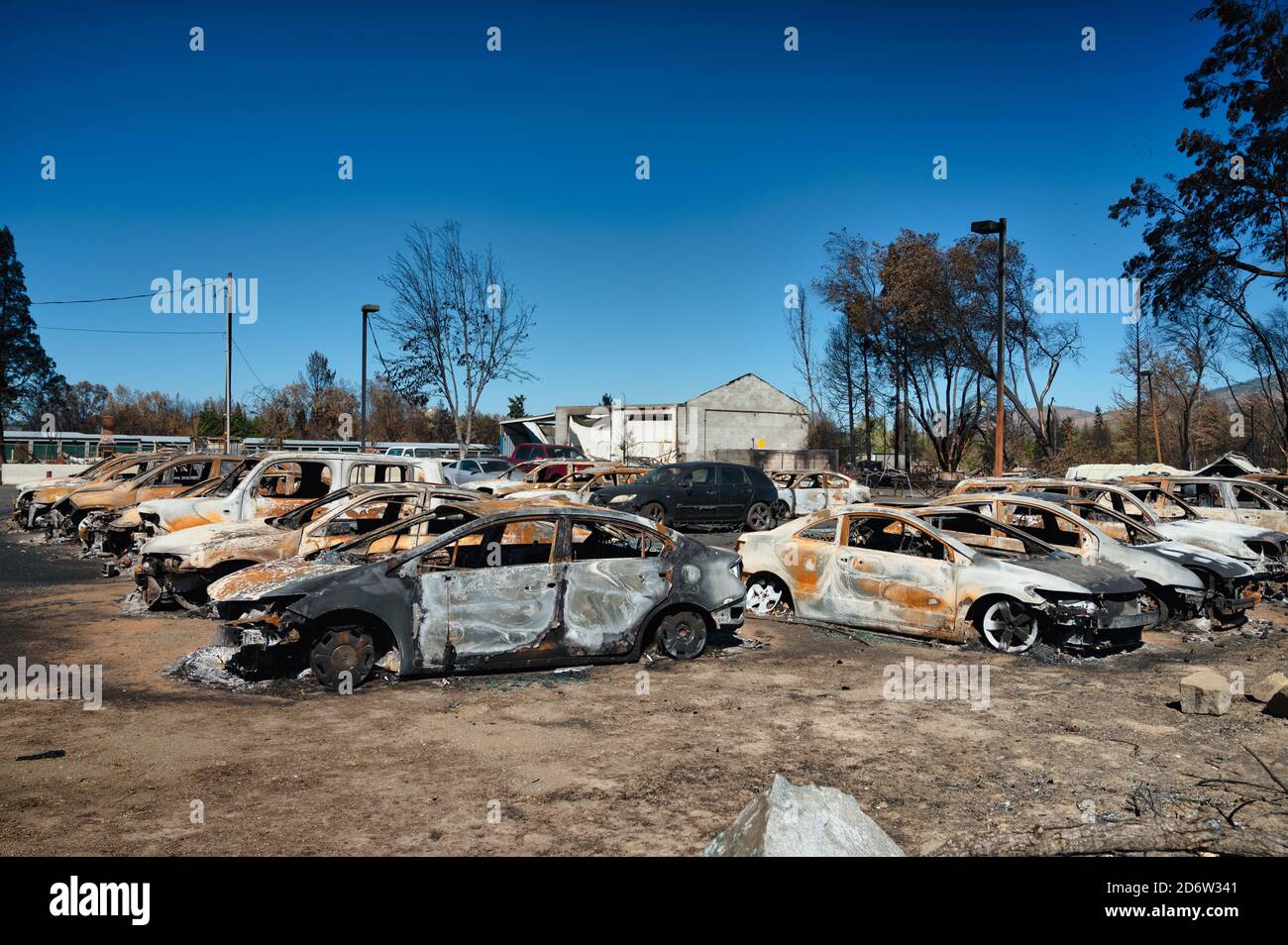 Burnt cars in a car dealership in Phoenix Oregon after the devastating Almeda fire Stock Photo