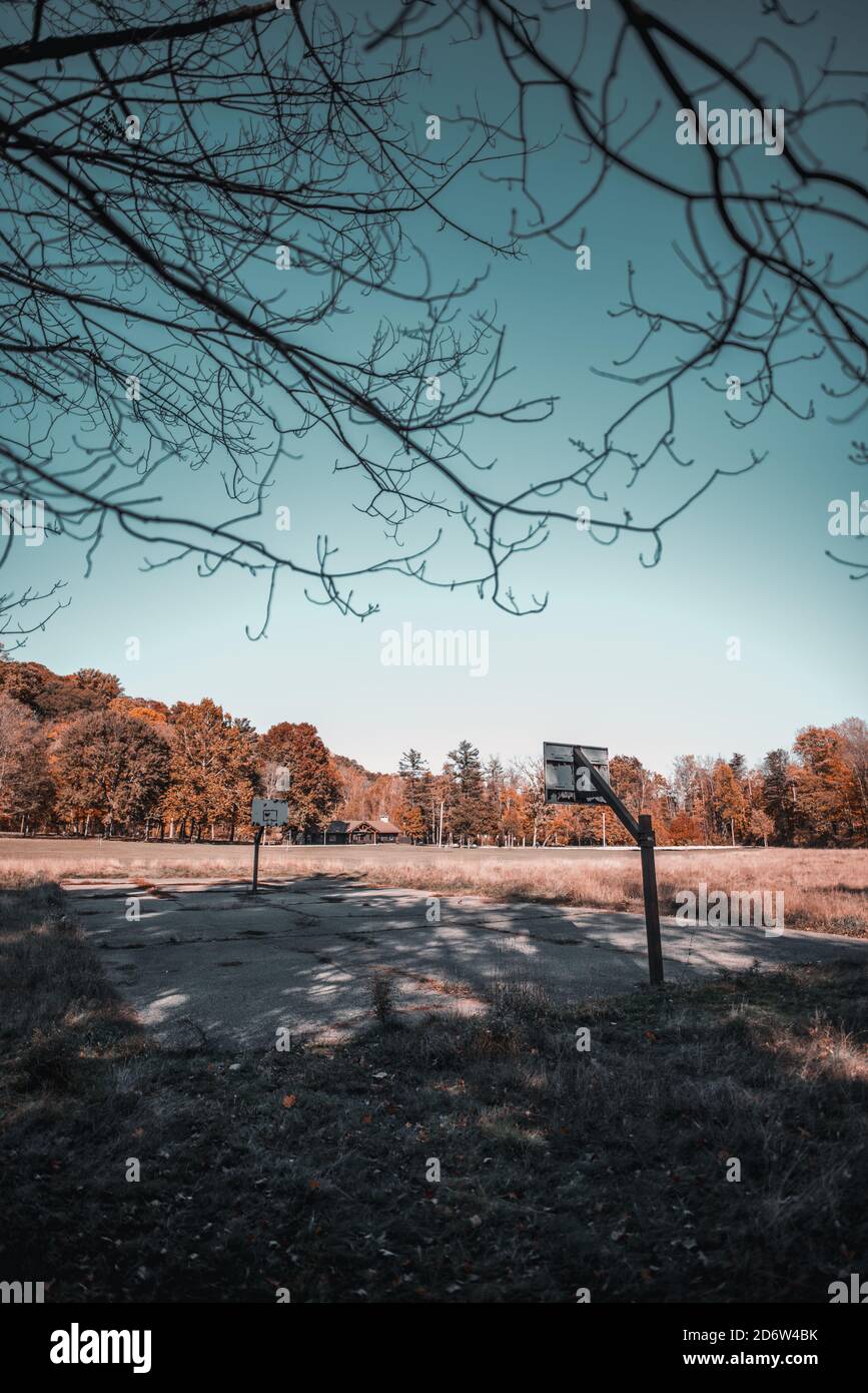 Abandoned basketball court in the woods Stock Photo Alamy