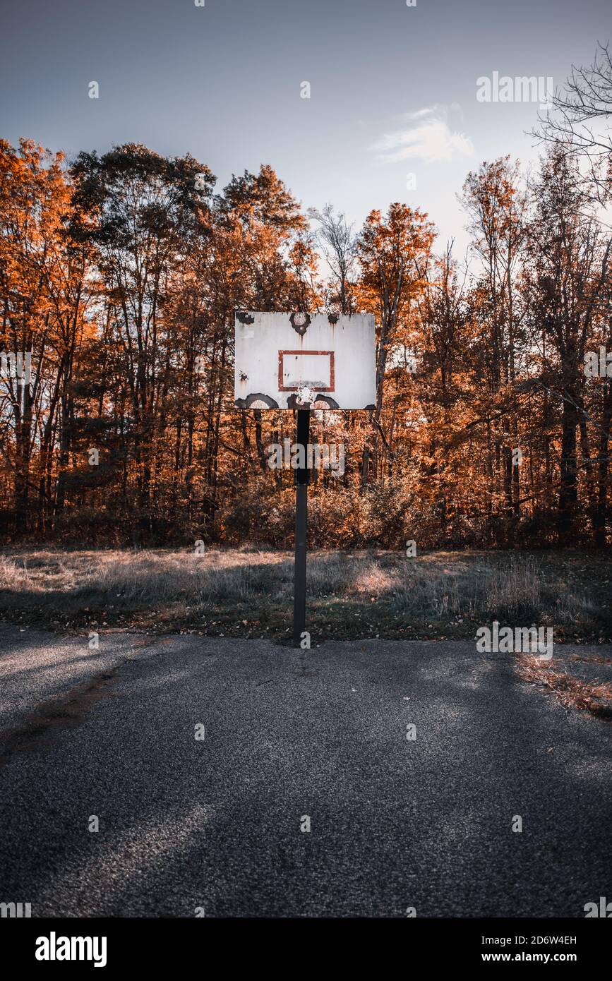 Abandoned basketball court in the woods Stock Photo Alamy