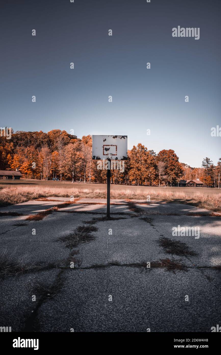 Abandoned basketball court in the woods Stock Photo Alamy