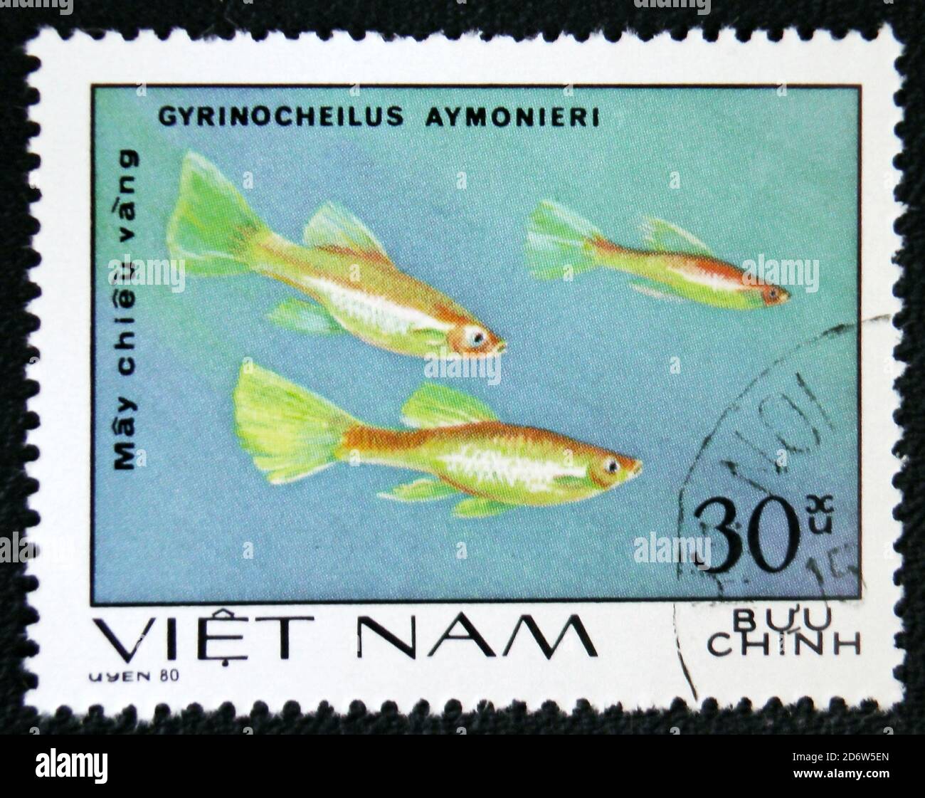 MOSCOW, RUSSIA - JANUARY 7, 2017: A postage stamp printed in the Vietnam shows Gyrinocheilus aymonieri fish, circa 1980 Stock Photo