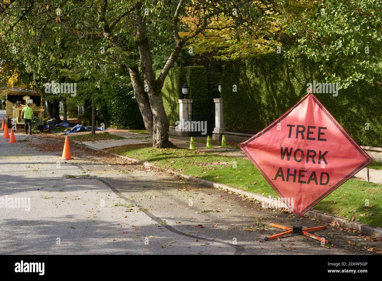 Arborist working on a residential street in Vancouver, British Columbia, Canada Stock Photo