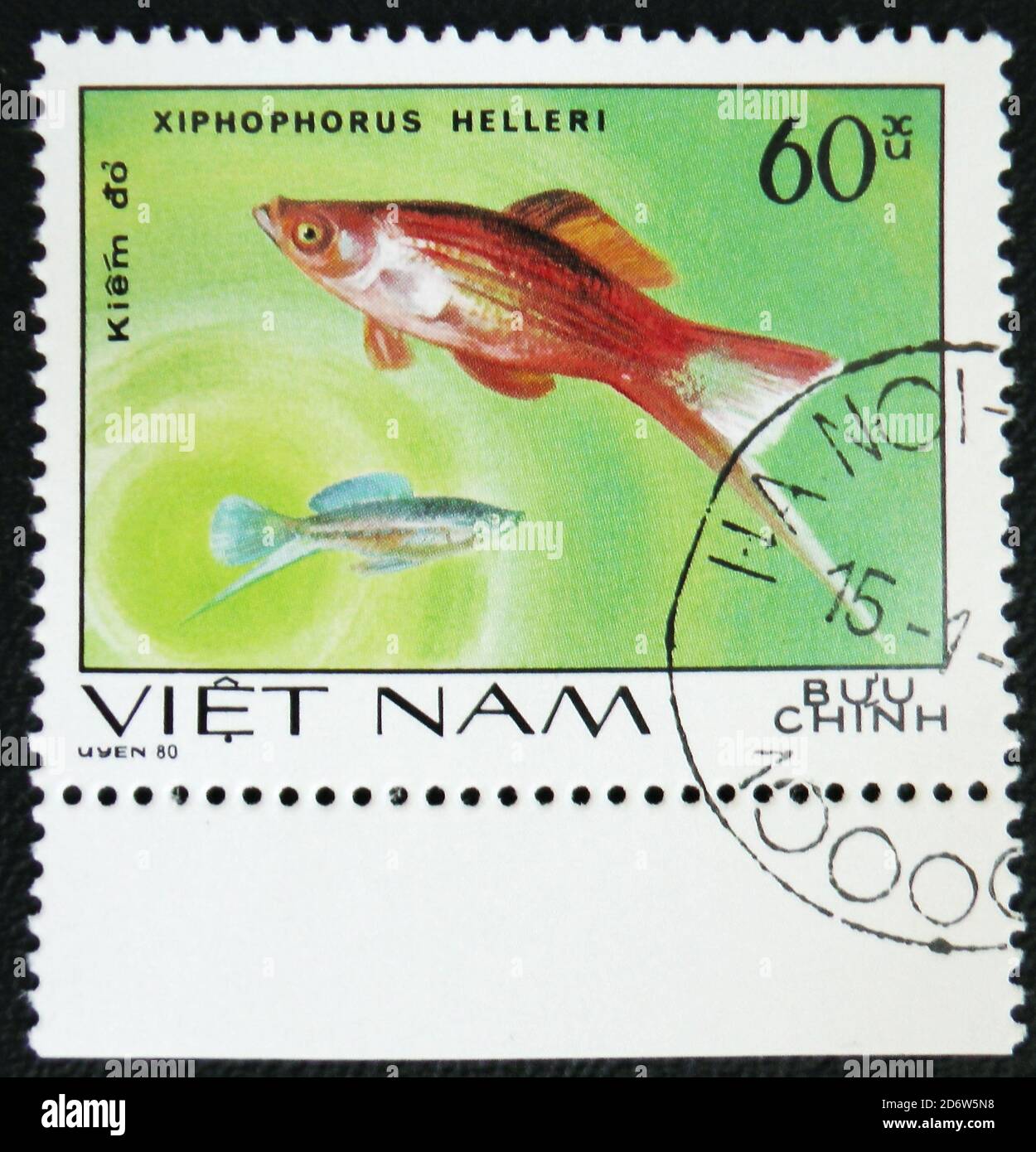 MOSCOW, RUSSIA - JANUARY 7, 2017: A stamp printed by Vietnam shows fish Xiphophorus helleri, stamp is from the series, circa 1980 Stock Photo
