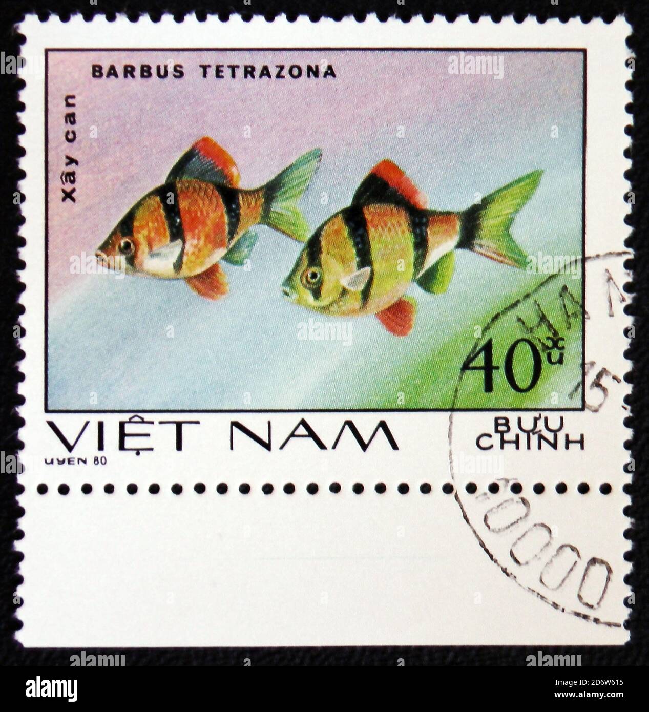 MOSCOW, RUSSIA - JANUARY 7, 2017: A stamp printed in Vietnam, shows fishes Barbus Tetrazona, Ornamental Fish, circa 1980 Stock Photo