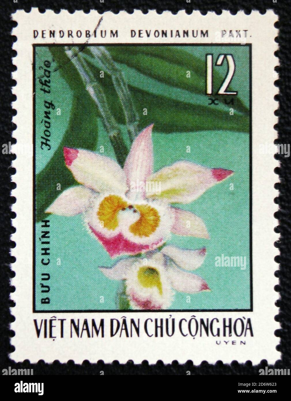 MOSCOW, RUSSIA - JANUARY 7, 2017: A stamp printed in Vietnam shows orchid Dendrobium devonianum, circa 1976 Stock Photo