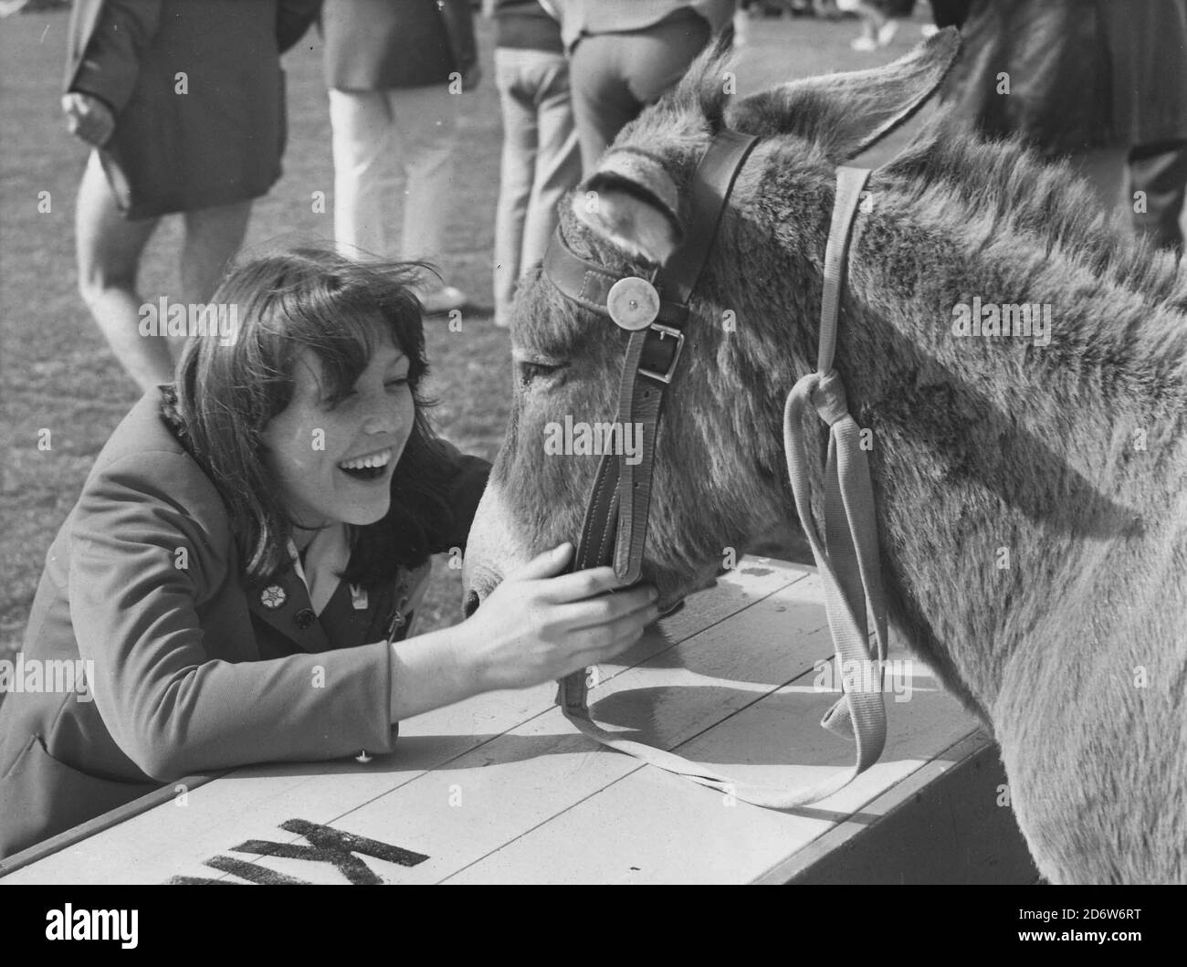 Butlins Filey, North Yorkshire, England, UK. 1975-1977 Archive images of holiday makers & redcoats at Butlins Filey. A red coat chats with a donkey on the donkey derby field Stock Photo