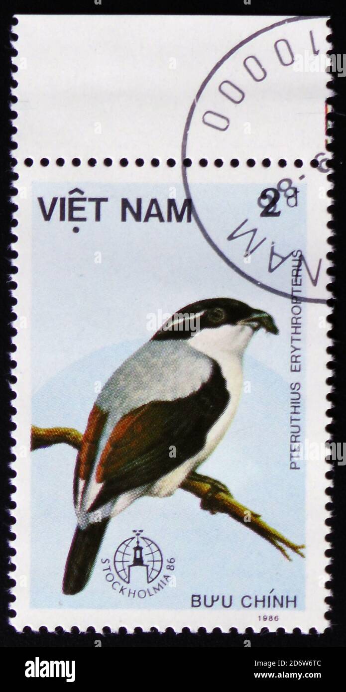 MOSCOW, RUSSIA - FEBRUARY 12, 2017: A stamp printed in Vietnam shows Pteruthius erythropterus or red-winged shrike babbler, series devoted to the bird Stock Photo