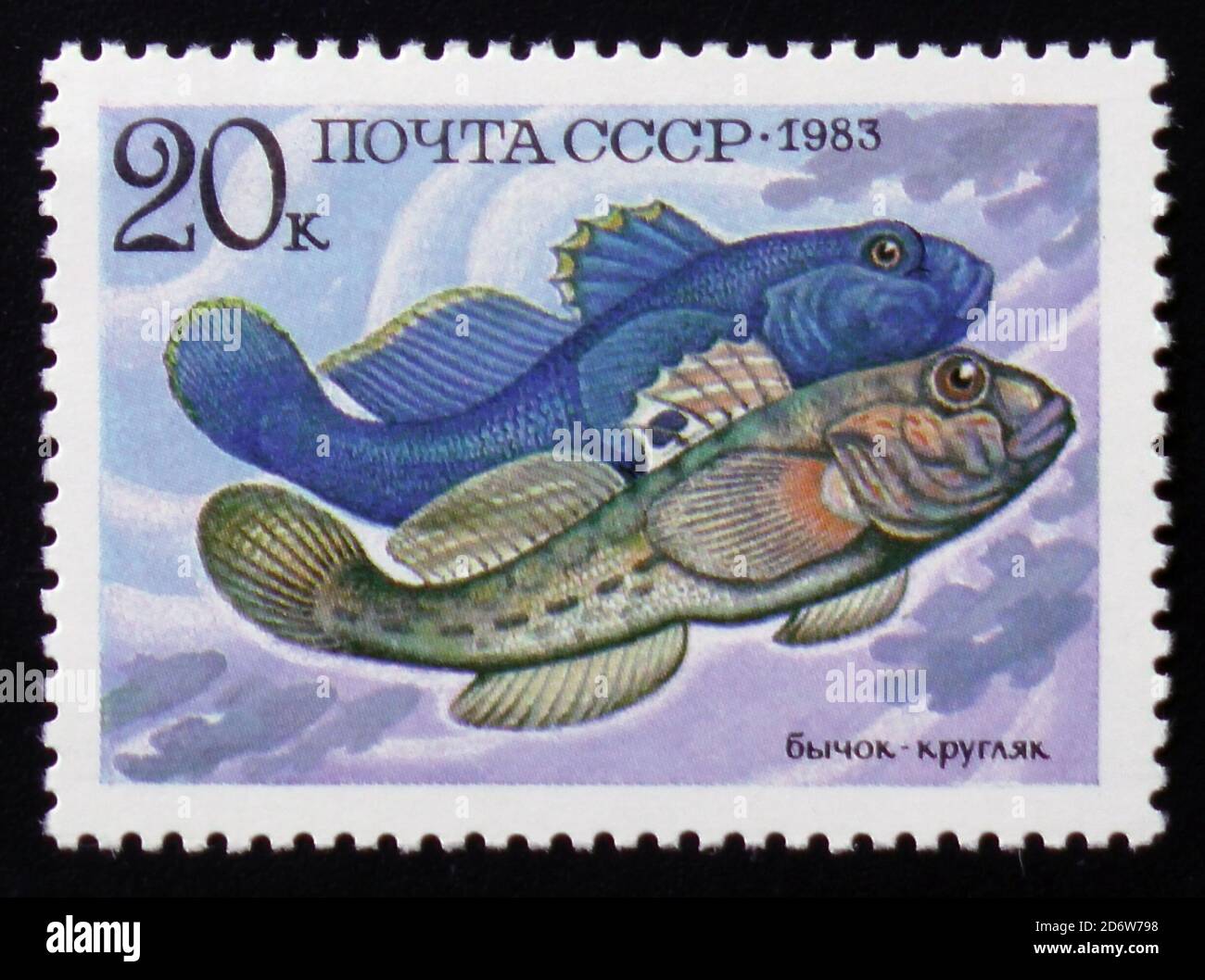 MOSCOW, RUSSIA - FEBRUARY 12, 2017: A stamp printed in the USSR shows marine fish, Neogobius melanostomus, from the series 'Food Fish', circa 1983 Stock Photo
