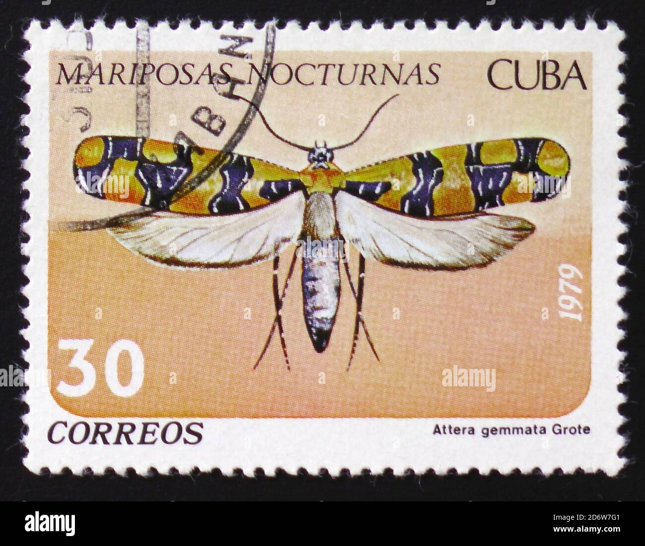 MOSCOW, RUSSIA - FEBRUARY 12, 2017: A Stamp printed in CUBA shows image of a Attera gemmata Grote butterfly (Mariposas nocturnas), circa 1979 Stock Photo