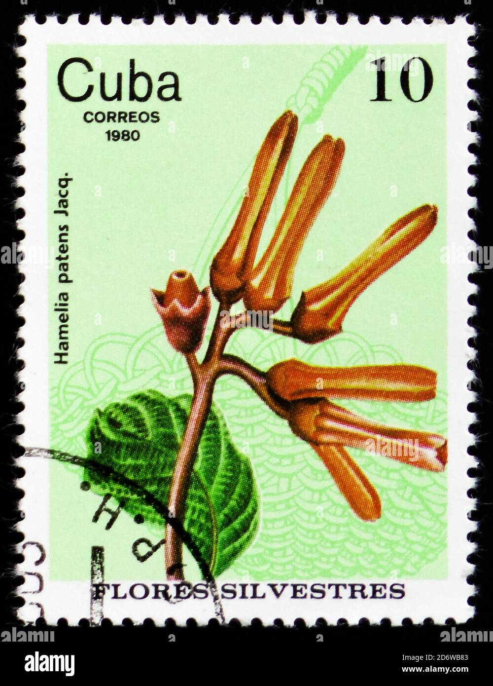 MOSCOW, RUSSIA - FEBRUARY 12, 2017: A stamp printed in Cuba shows Perennial Shrub (Hamelia patens Jacq.), circa 1980 Stock Photo