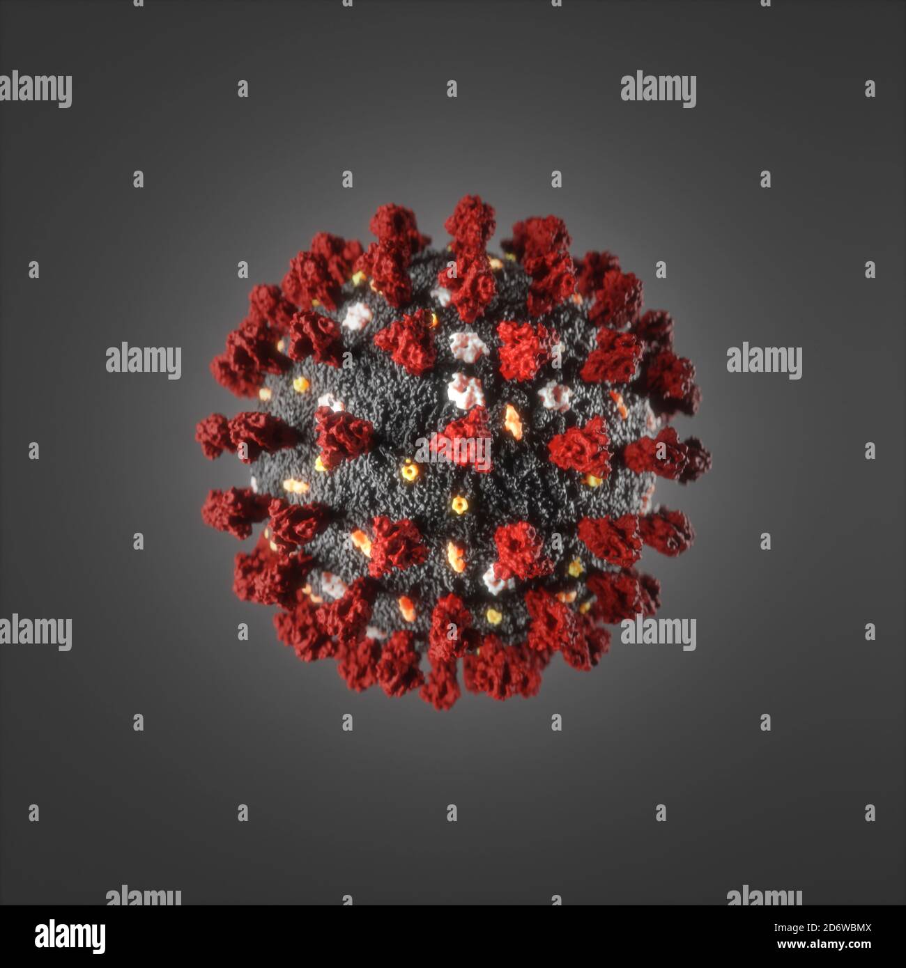 Morphology of the Coronavirus (SARS-CoV-2, Covid 19). An accurate model based on scientific structural data from the PDB. Stock Photo