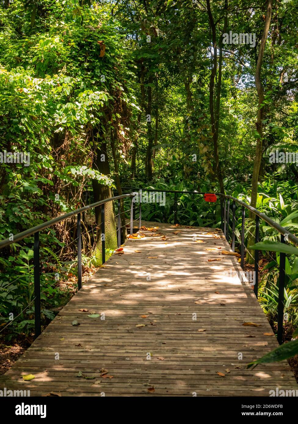 Wooden Bridge in the Middle of the Nature Stock Photo - Alamy