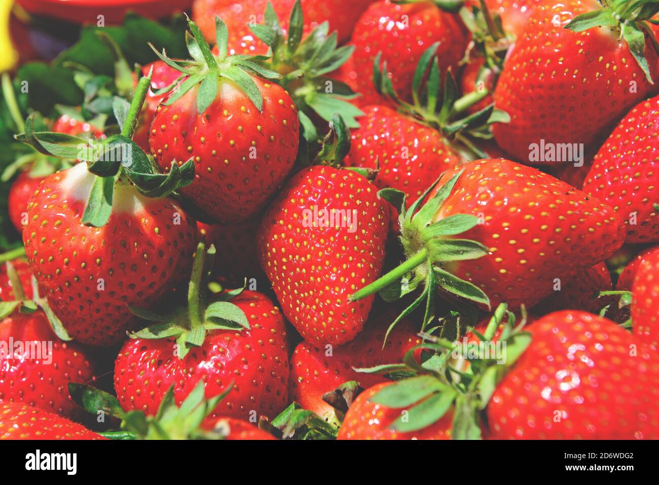 Pile of fresh strawberries Stock Photo - Alamy