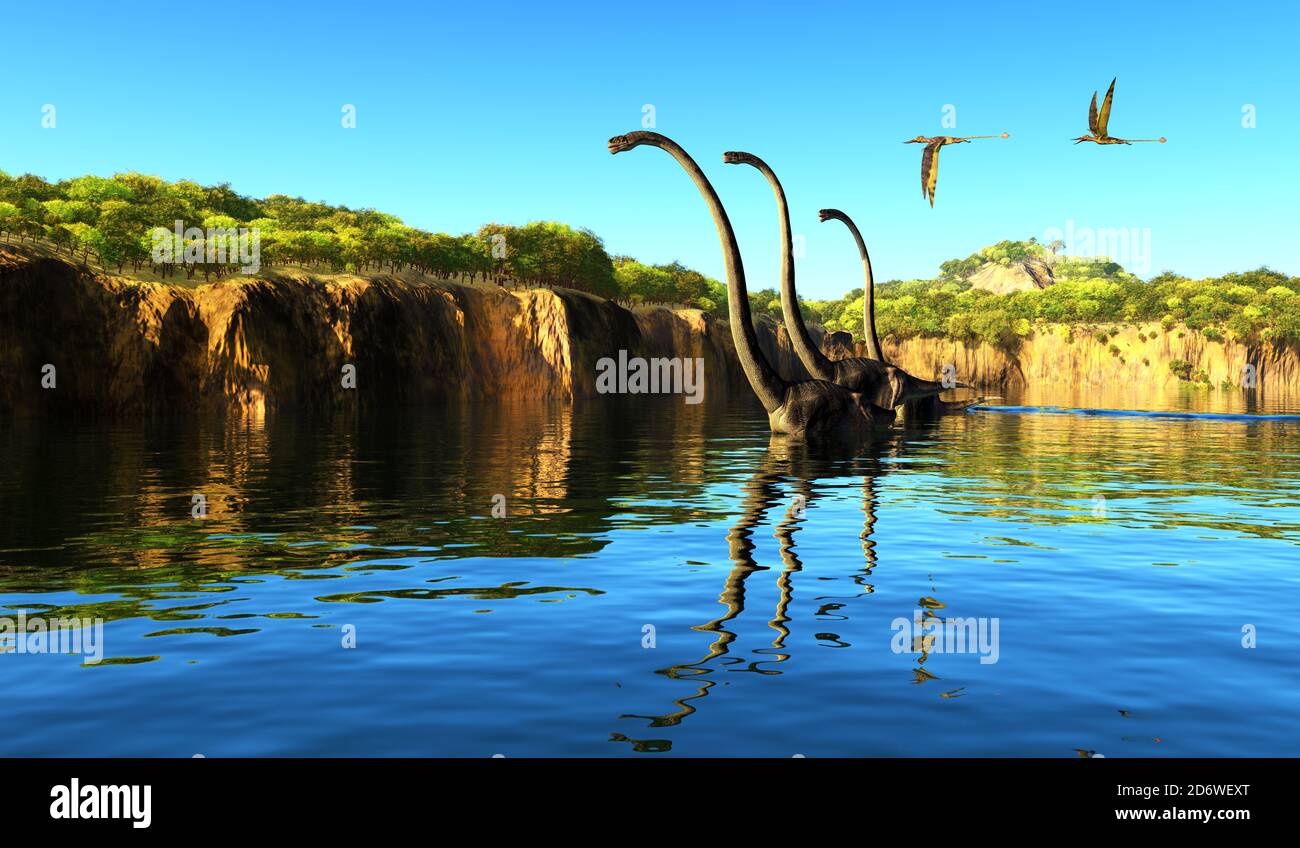 Omeisaurus dinosaurs wade through a river to munch on tree foliage as Rhamphorhynchus reptiles fly nearby. Stock Photo