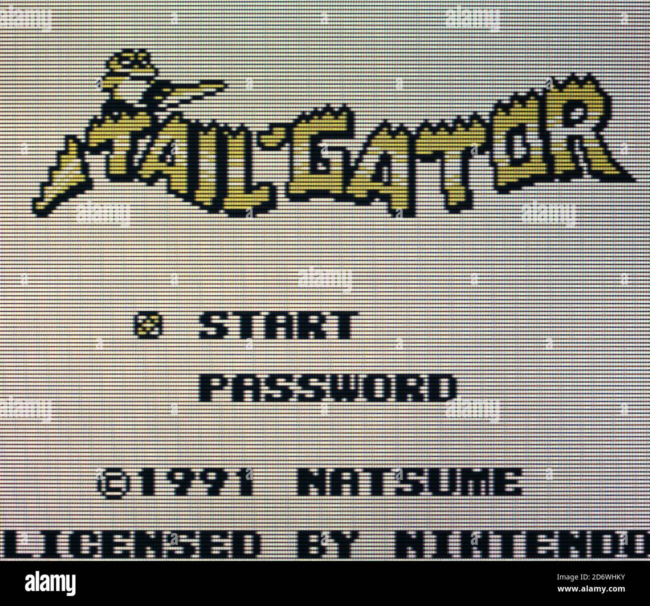 Tail Gator - Nintendo Gameboy Videogame - Editorial use only Stock Photo