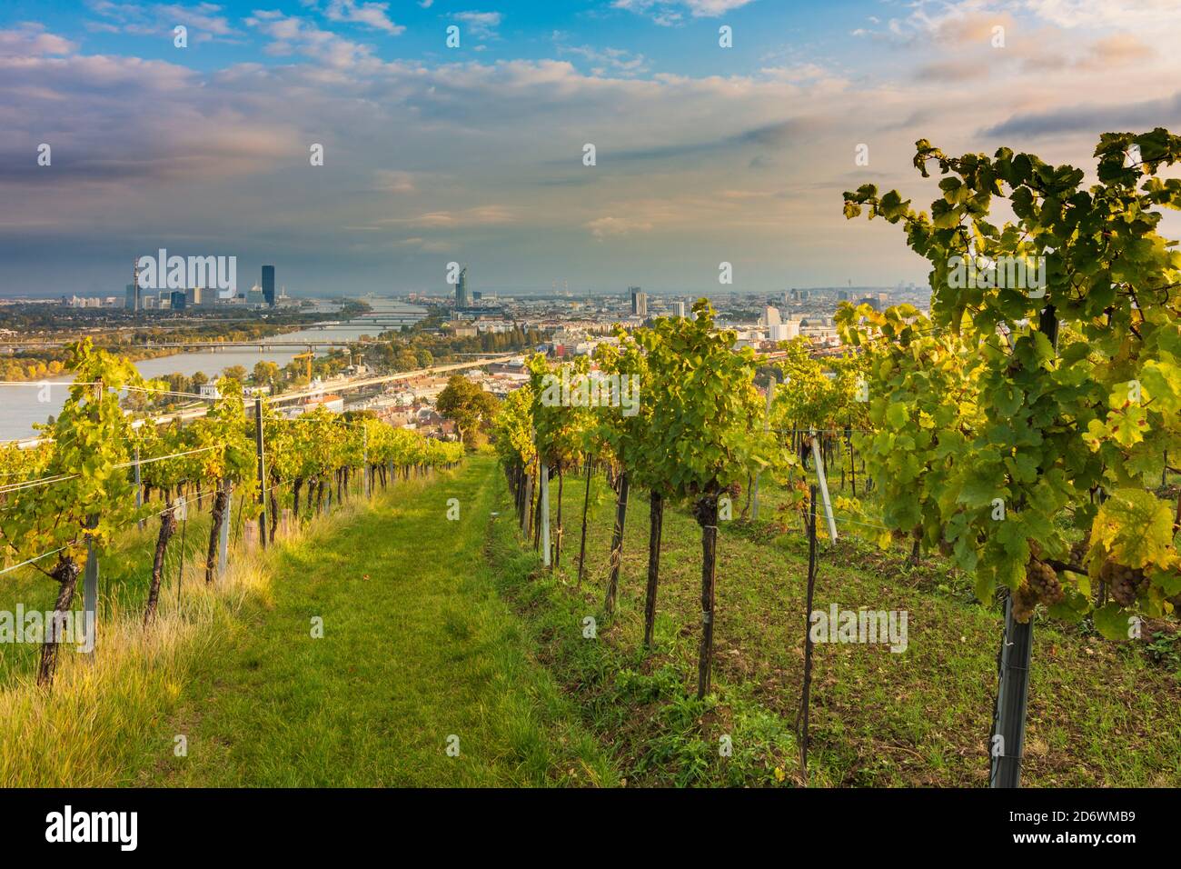 Wien, Vienna view from hill Nussberg, mountain Kahlenberg to Vienna