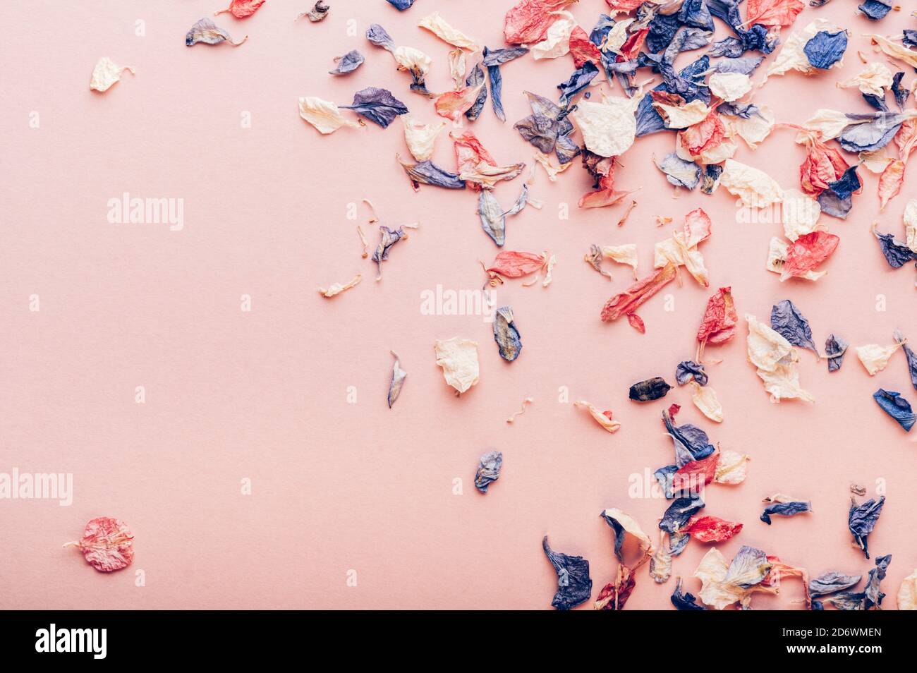 Biodegradable confetti from real dried flowers Stock Photo Alamy