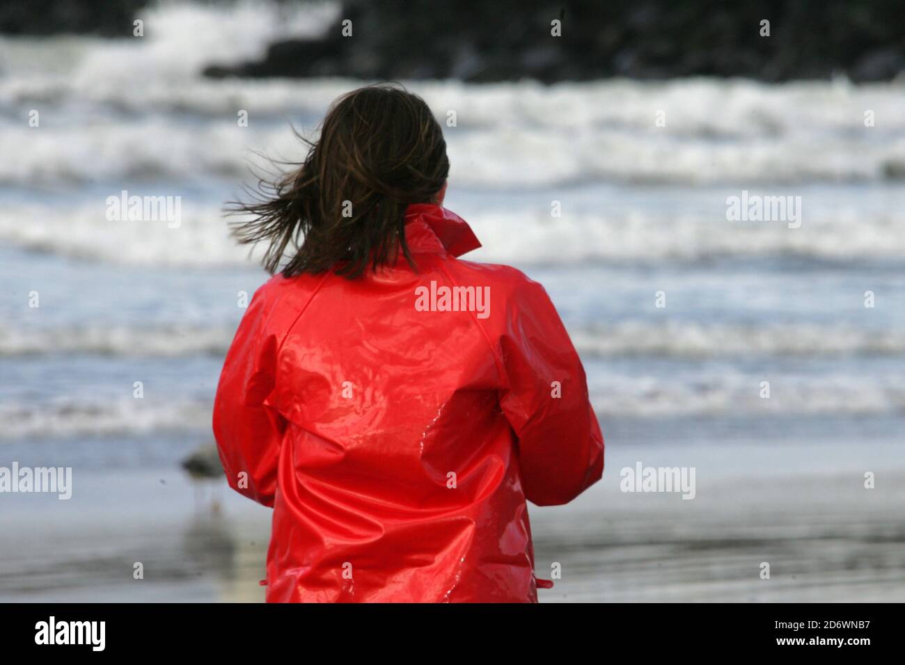 adidas rn 88387 jacket