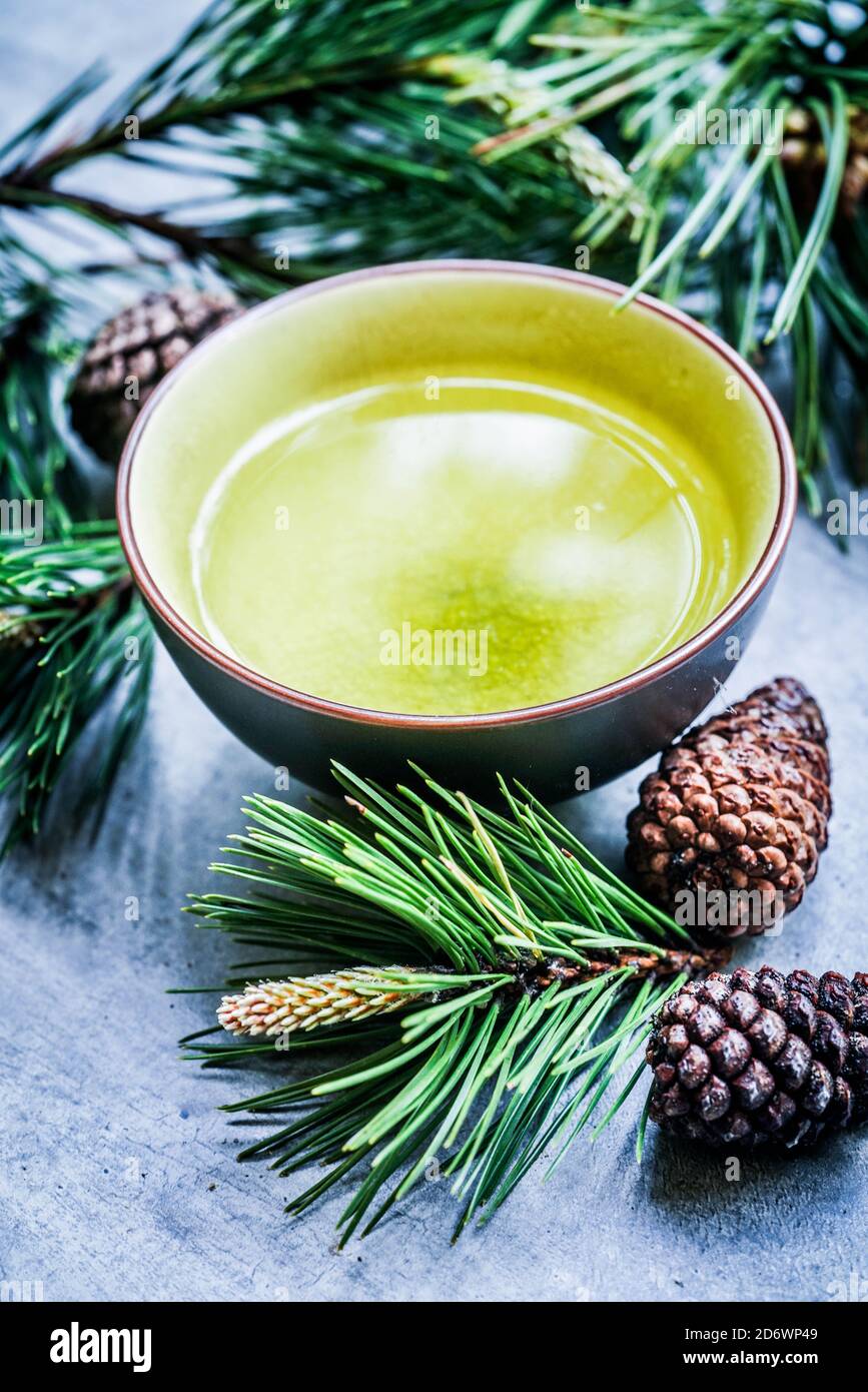Herbal tea of scots Pine (Pinus silvestris). Stock Photo