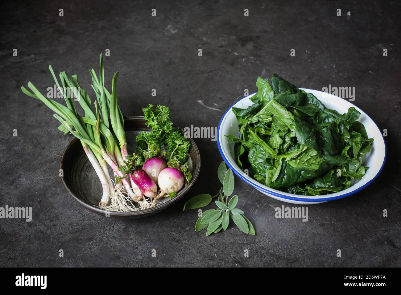 Garlic, turnips, spinach, sage and parsley. Stock Photo