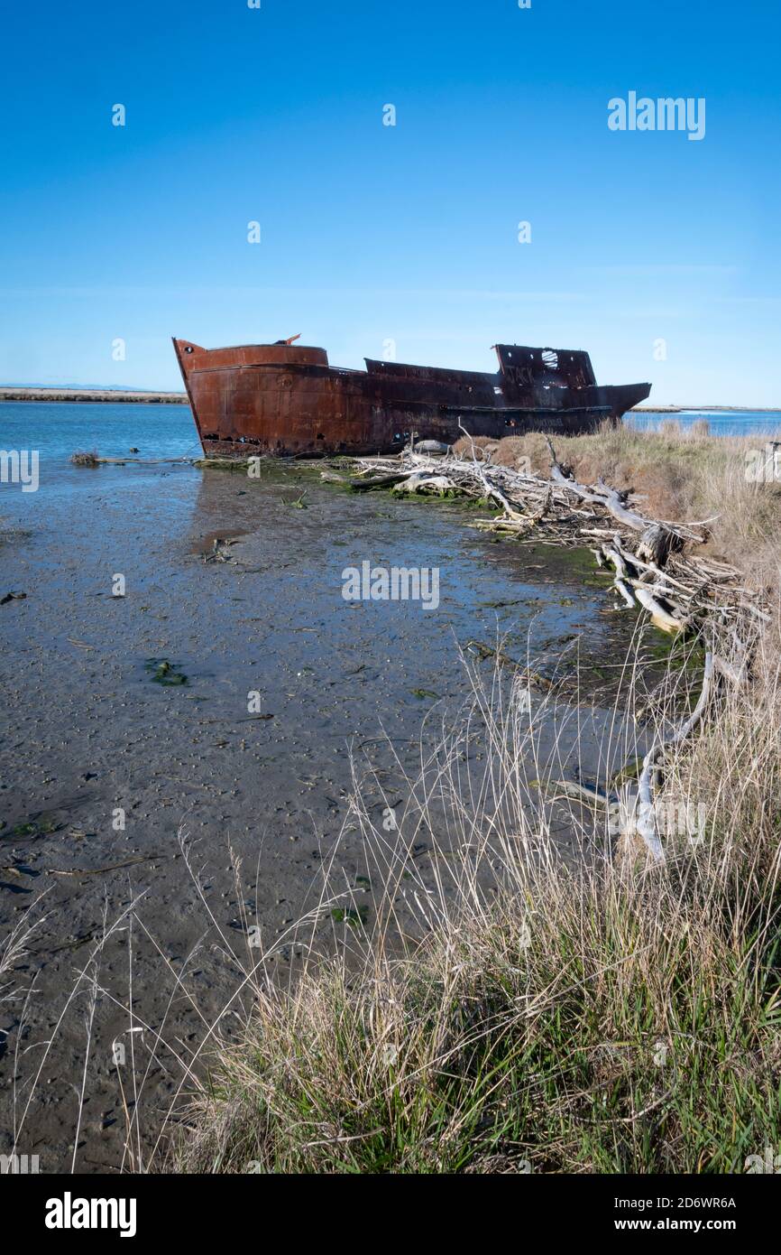 Remains of the ship 'Waverley', Wairau Lagoons Walkway, near Blenheim, Marlborough, South Island, New Zealand Stock Photo