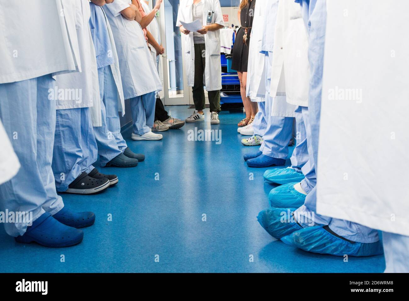 Meeting of the pharmacy staff, France. Stock Photo