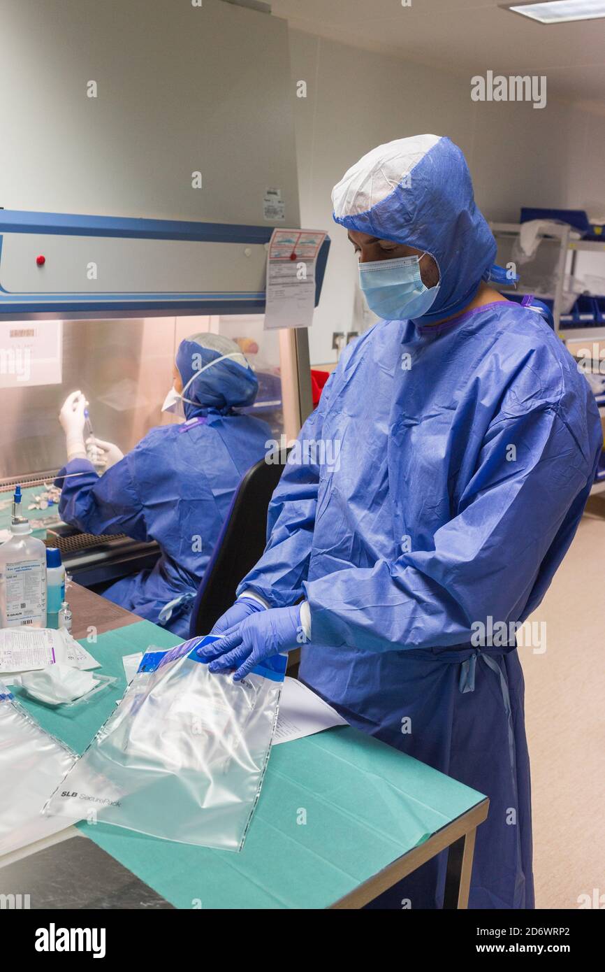 Production of chemotherapy and biotherapy treatments. Bordeaux University Hospital Pharmacy - Pellegrin Hospital Group, France. Stock Photo