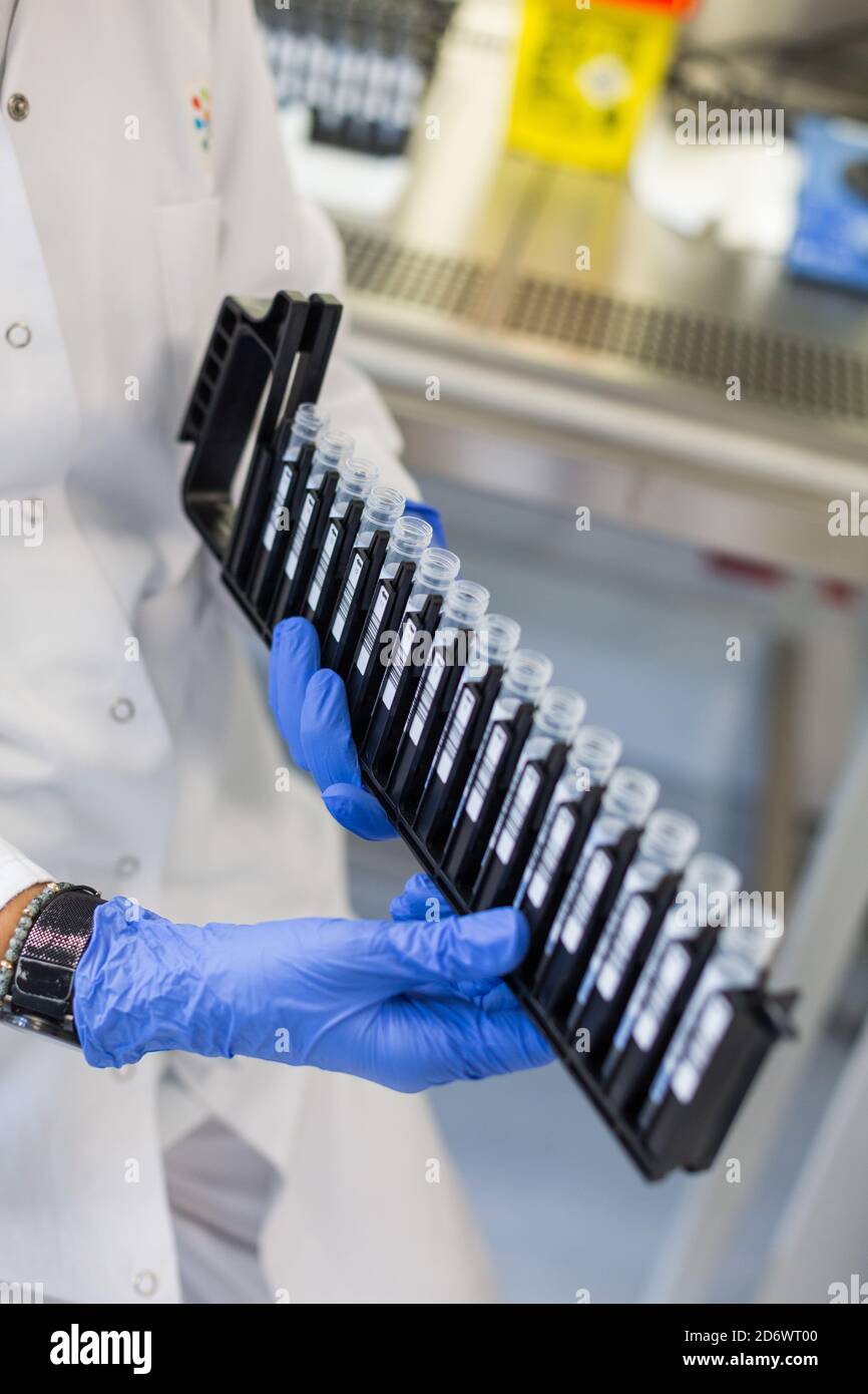 Loading of the reagents of COVID-19 screening PCR test samples in the automatic machine, Limoges hospital analysis laboratory, France. Stock Photo