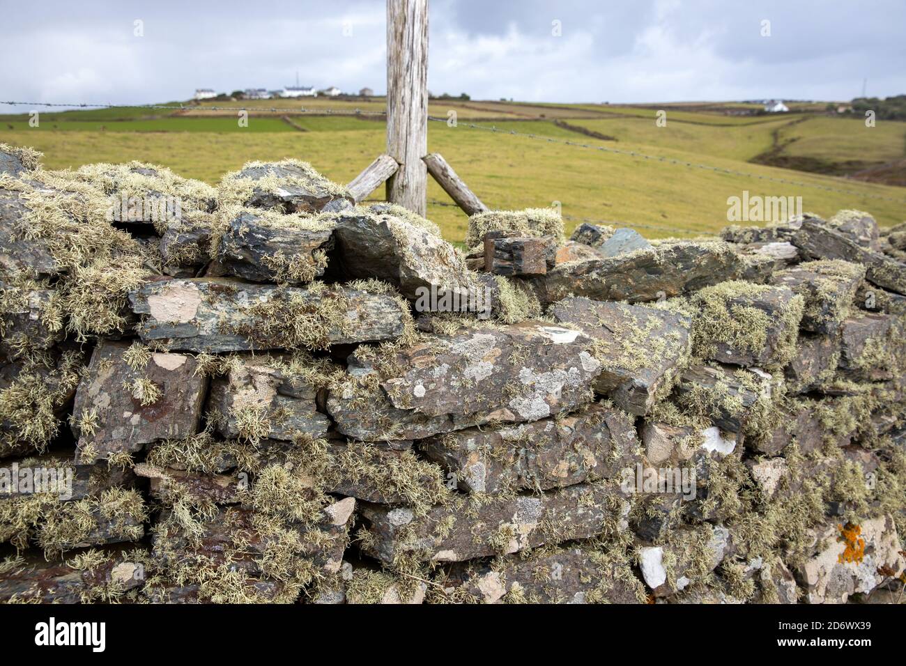 Lichen on stone wall in Cornwall Stock Photo