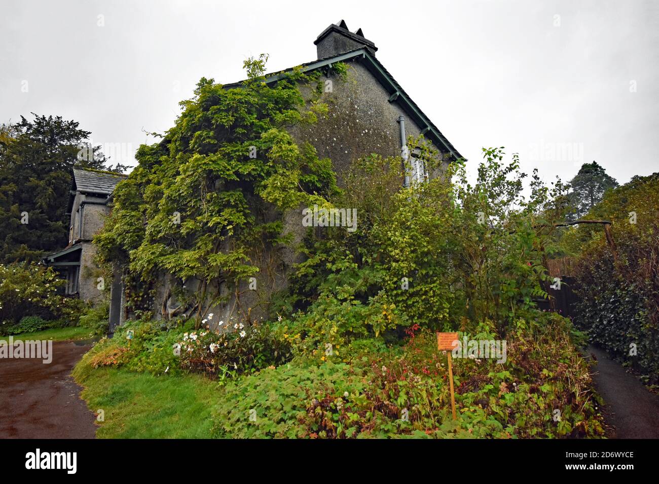 Hill Top, the home of children's author, Beatrix Potter, in the Lake District, Cumbria, England. Plants climb the side of the grey coloured cottage. Stock Photo