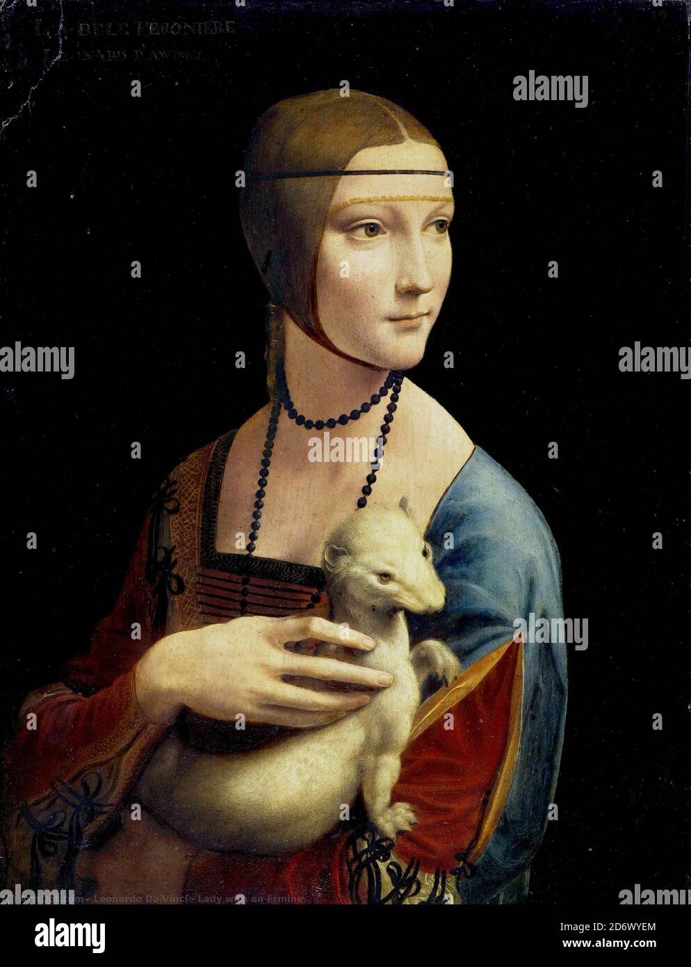 Title: Lady with an Ermine Creator: Leonardo Da Vinci Date: 1490 Medium: oil on walnut panel Dimensions: Czartoryski Museum, Cracow, Poland Location: 54 x 39 cm Stock Photo