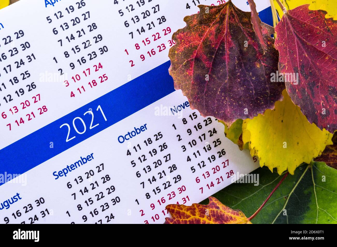 red and yellow autumn leaves and 2021 calendar, 2021 calendar in autumn