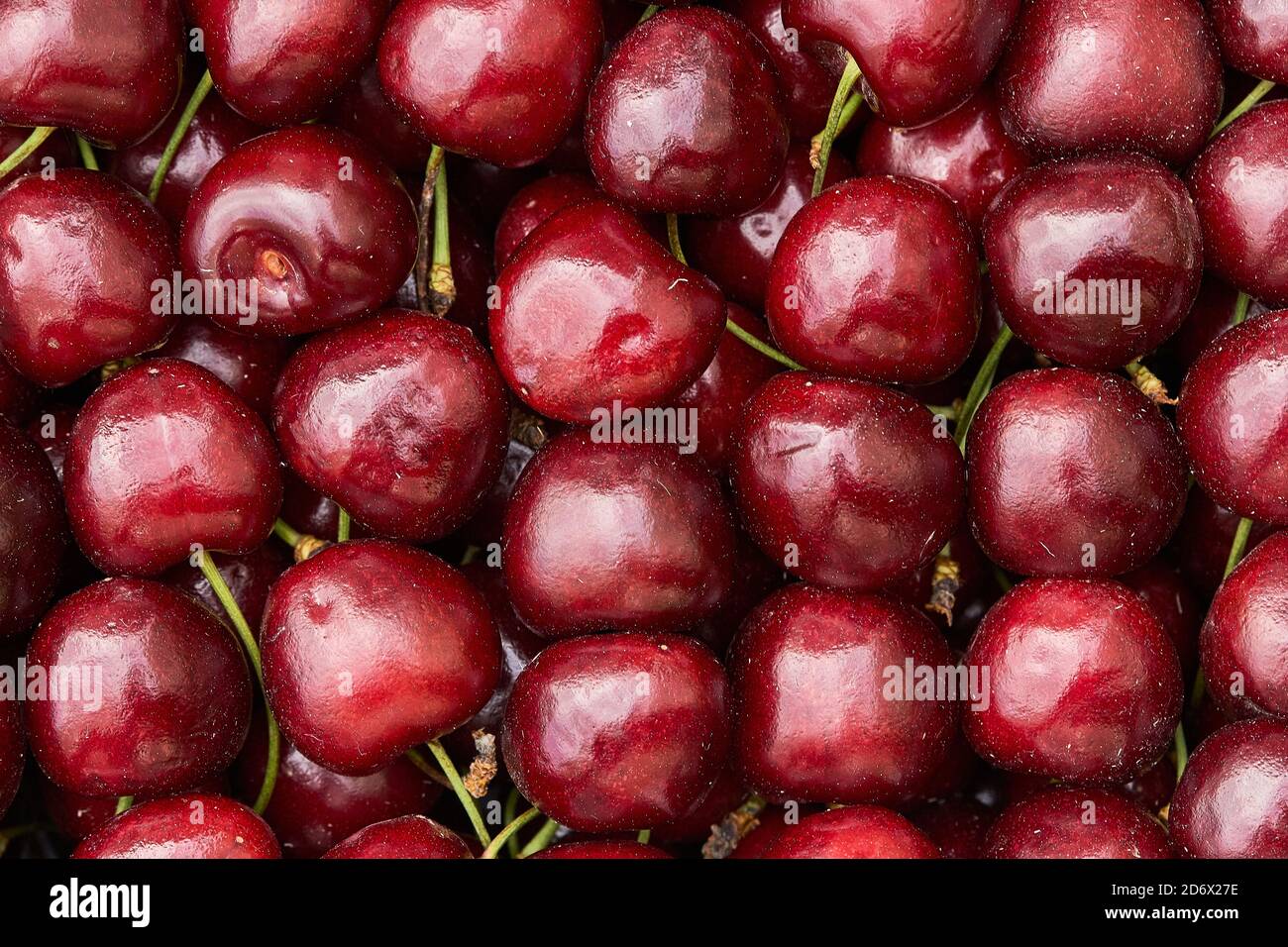 cherry ripe sweet viburnum cherry background Stock Photo - Alamy