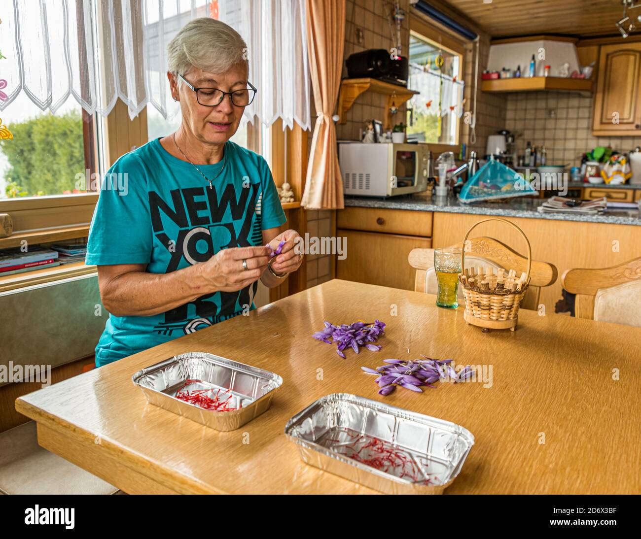 Saffron harvest and processing in Mund, Naters, Switzerland Stock Photo