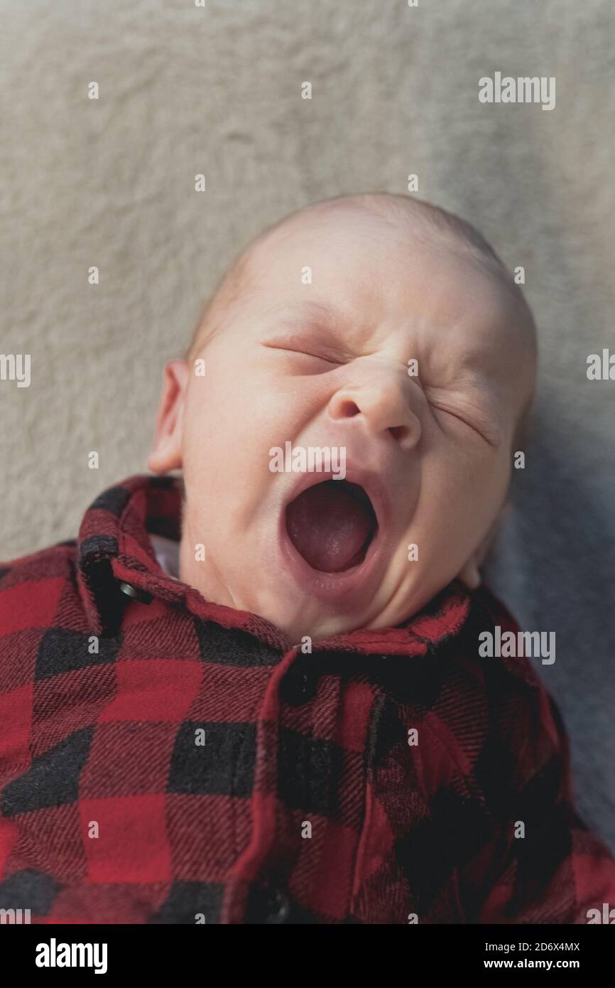 Cute newborn baby yawning and stretching on the blanket. High quality photo Stock Photo