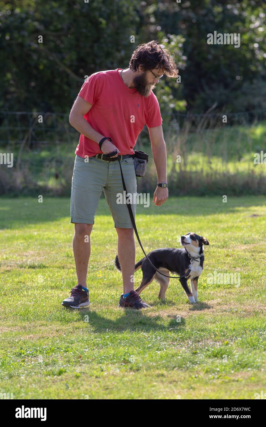 Dog owner training his Collie dog, puppy, using the spoken word eye contact, with a small food treat as a reward. Outdoors. Stock Photo