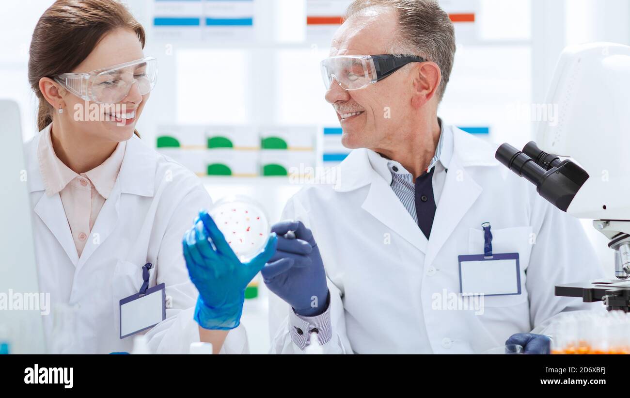 smiling scientists with a Petri dish sitting at a laboratory table ...