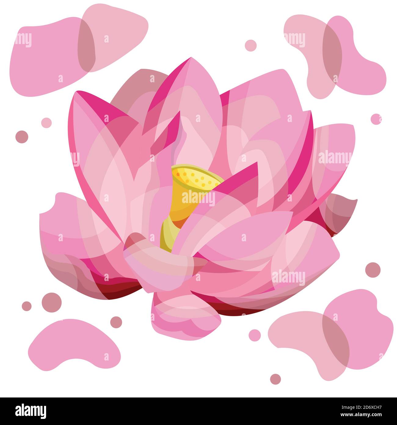 vector illustration of a Lotus Stock Vector Image & Art Alamy