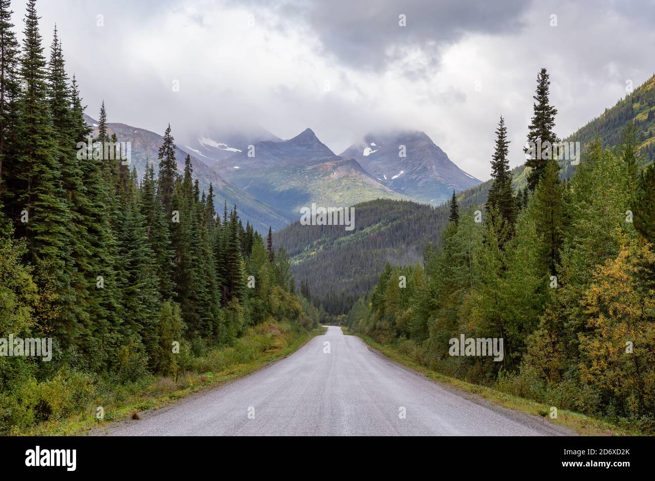View of Scenic Road surrounded by Trees and Mountains Stock Photo - Alamy