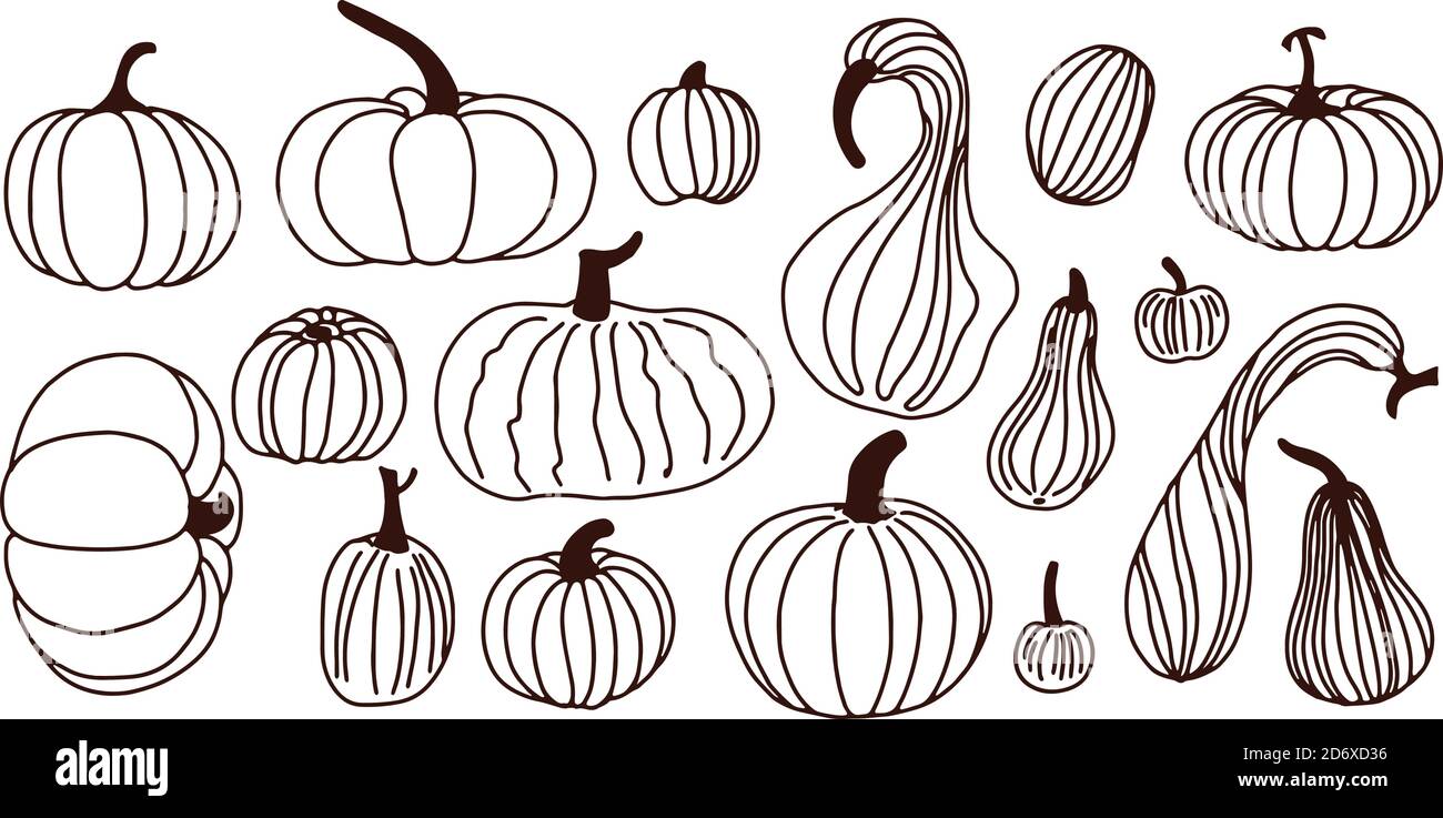 Autumn halloween pumpkin in line style isolated on white background. Pumpkin icon. Vector. Autumn Halloween or Thanksgiving pumpkin symbol Stock Vector