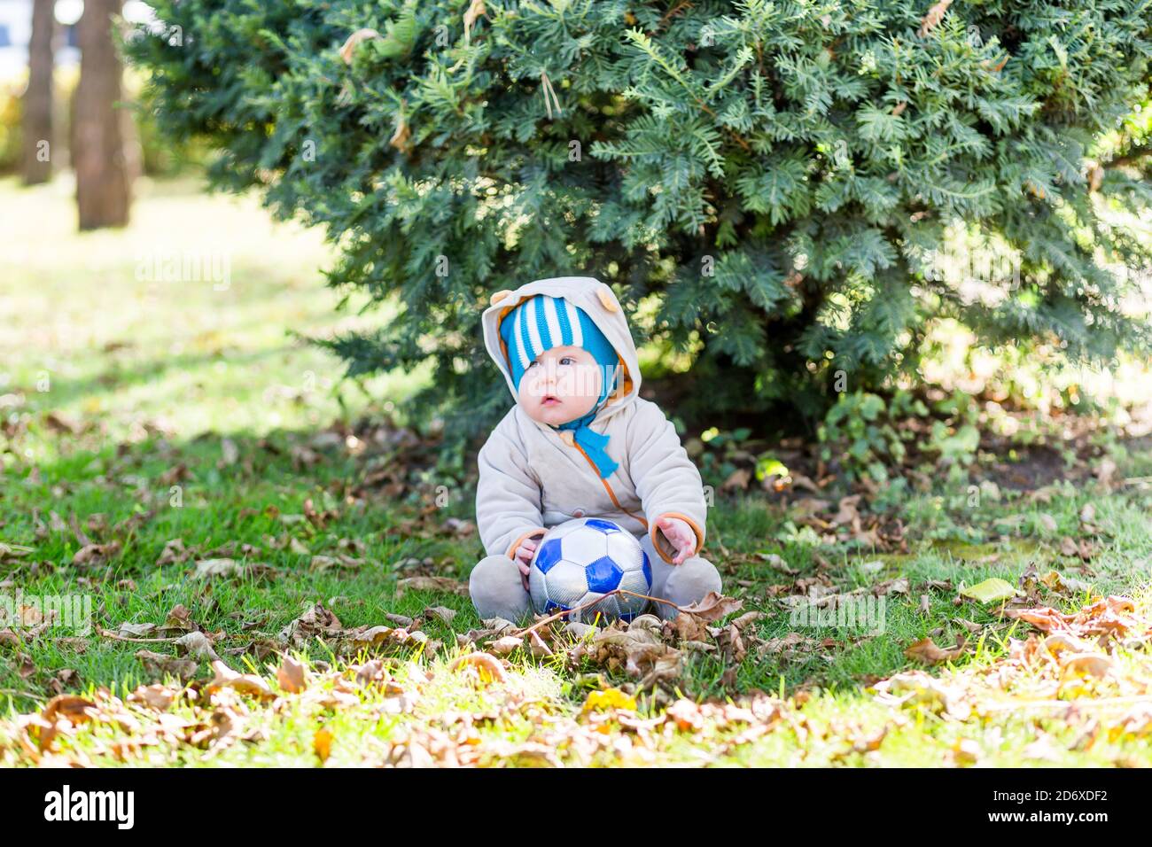 Portrait of cute caucasian little baby boy on autumn lawn in park ...