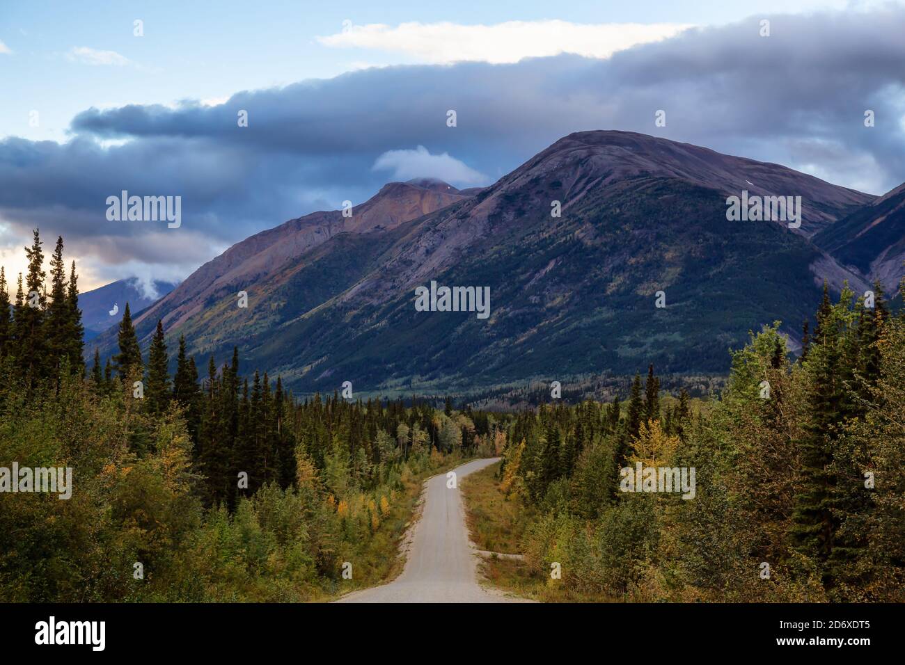 View of Scenic Road surrounded by Trees and Mountains Stock Photo - Alamy
