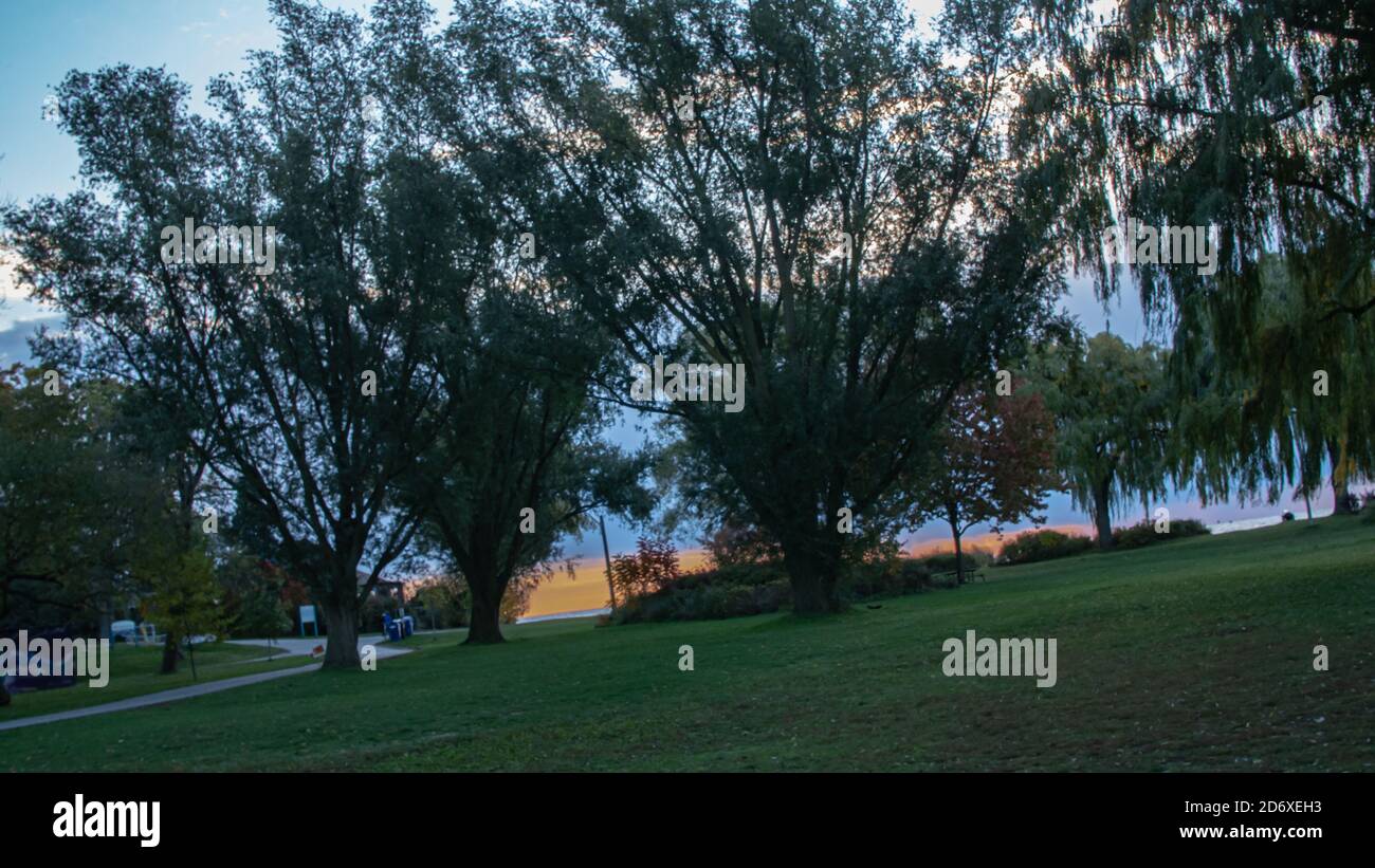 Silhouette shot of weeping willow tree grown in a park on a sunset sky ...