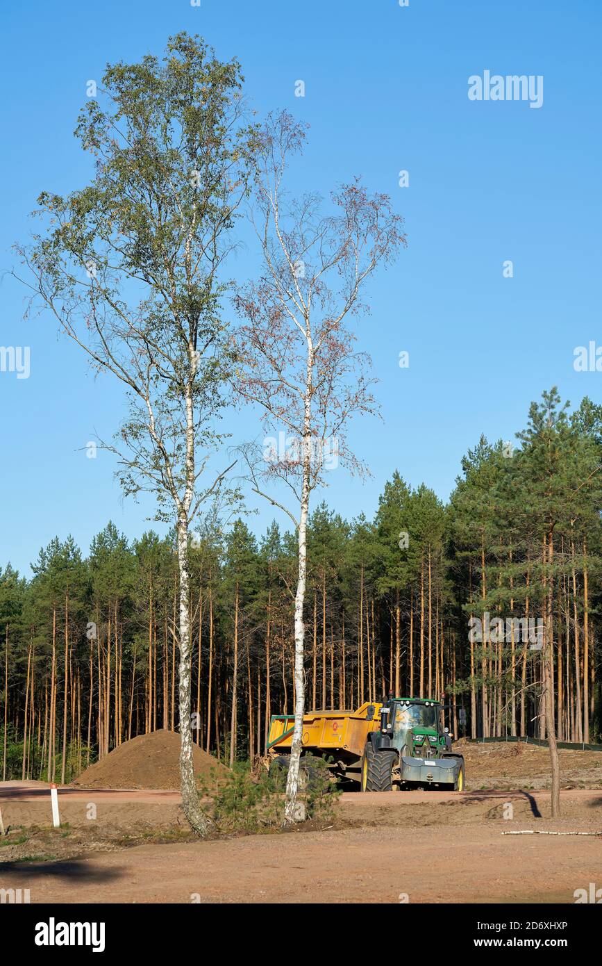 clearing of a forest near Dolle in Germany for the construction of the A14 motorway Stock Photo