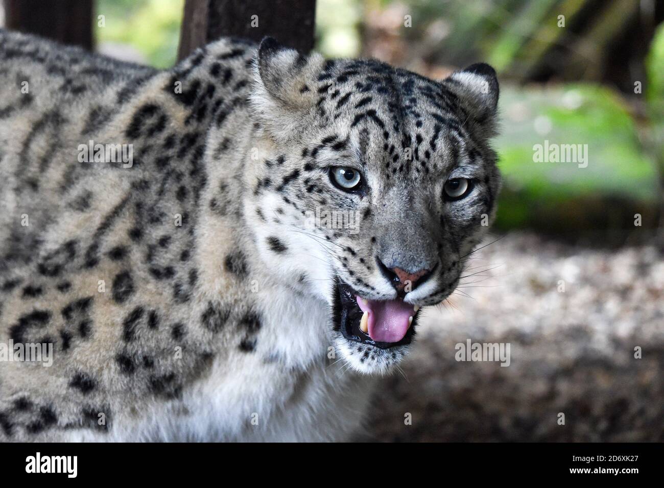 Broxbourne hertfordshire hires stock photography and images Alamy