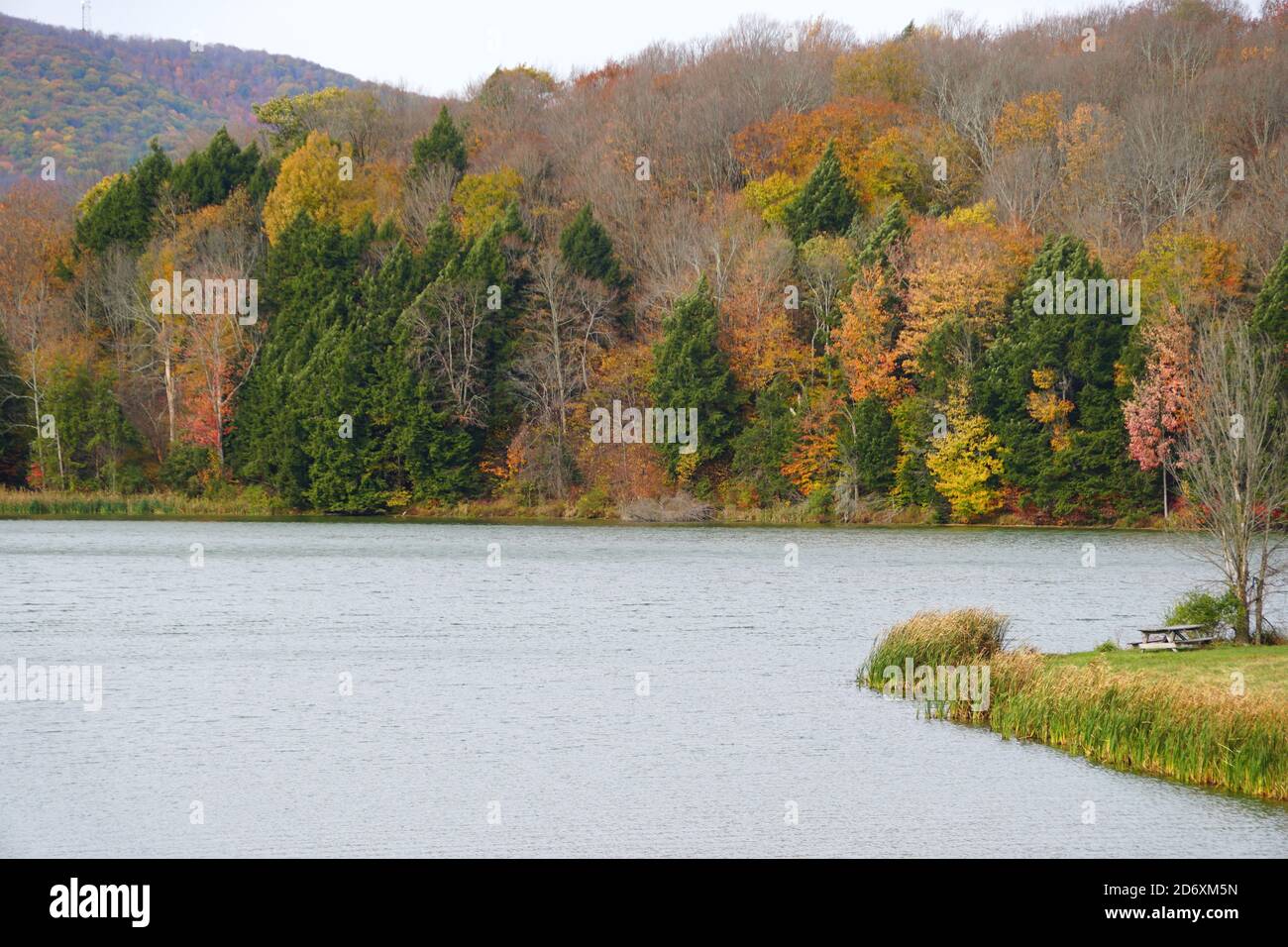 The view of the fall foliage near Mount Pisgah State Park, Troy